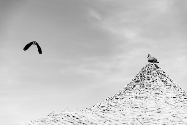 Thumbnail for original image