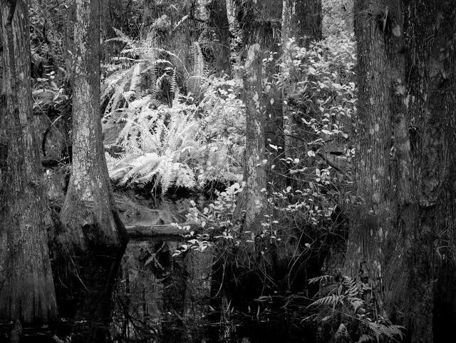 Thumbnail for original image