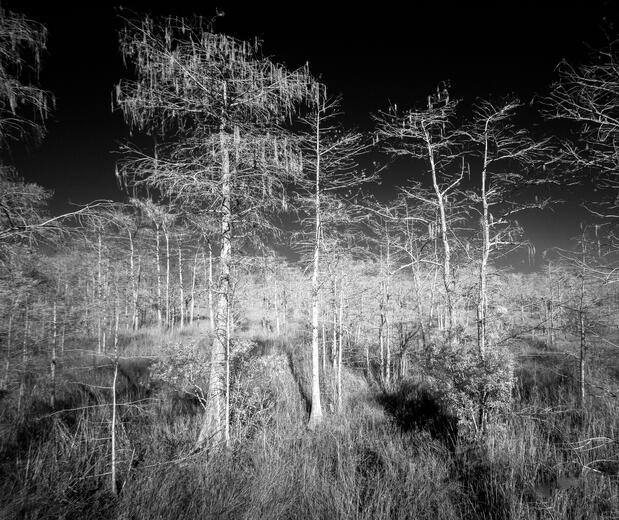 Thumbnail for original image