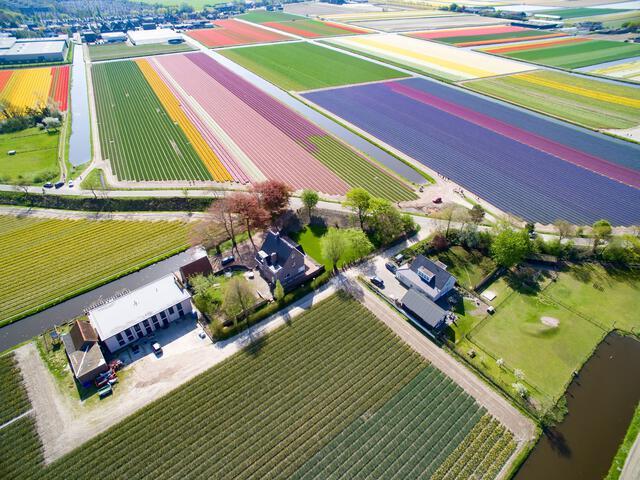 Thumbnail for original image