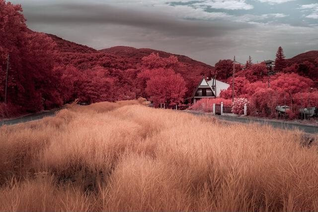 Thumbnail for original image