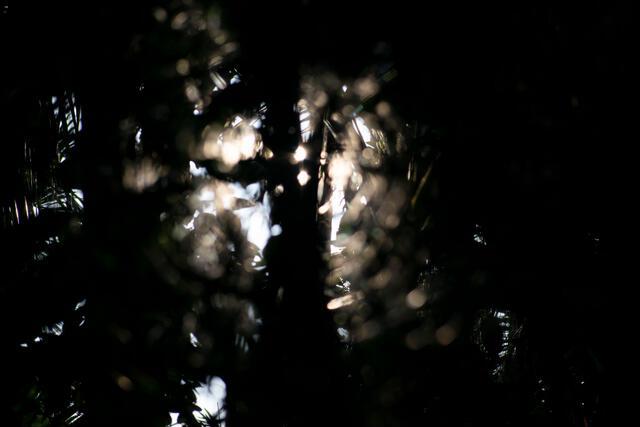 Thumbnail for original image