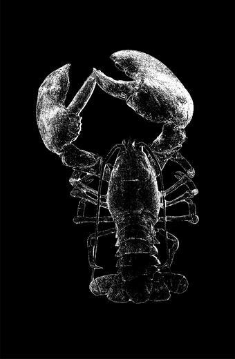 Thumbnail for original image