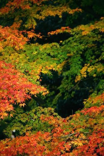 Thumbnail for original image