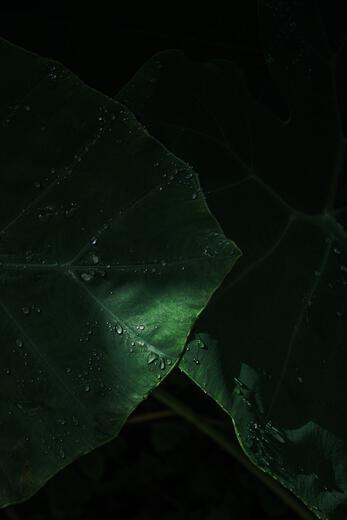 Thumbnail for original image