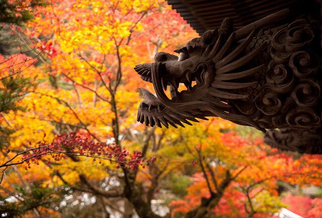 Thumbnail for original image