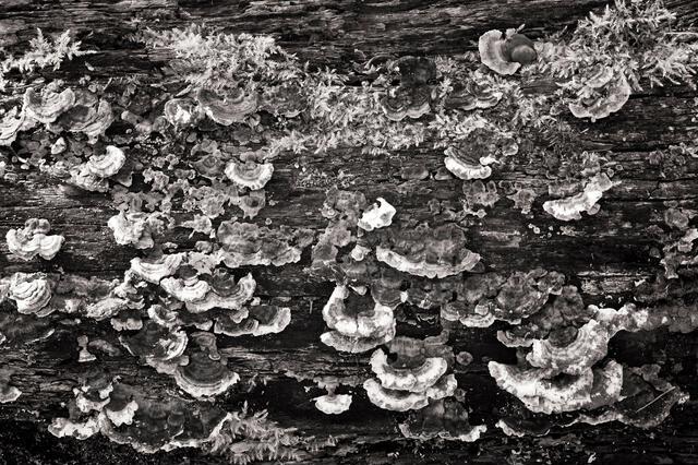 Thumbnail for original image