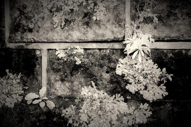 Thumbnail for original image