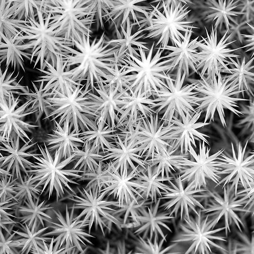 Thumbnail for original image