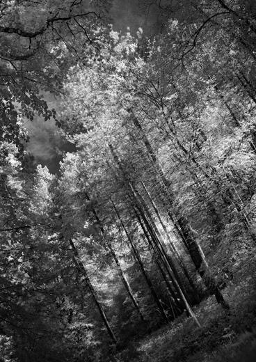 Thumbnail for original image