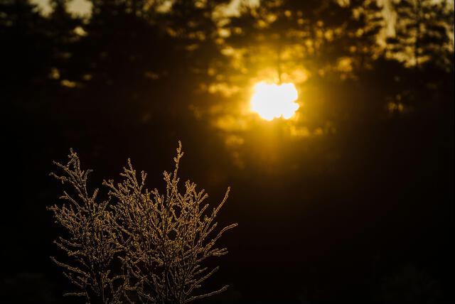 Thumbnail for original image