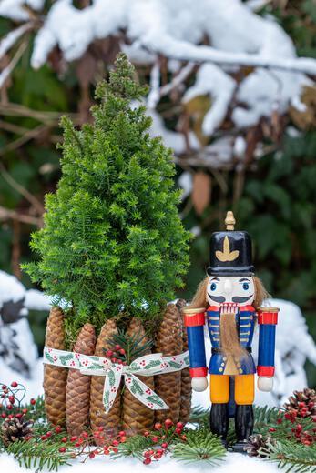 Thumbnail for original image