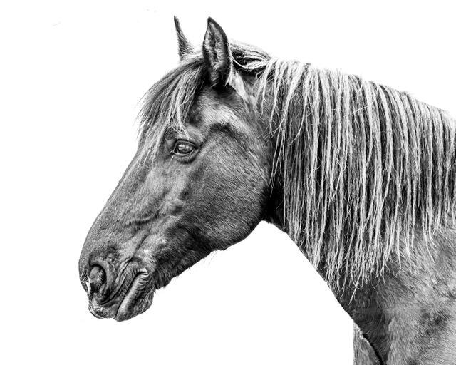 Thumbnail for original image