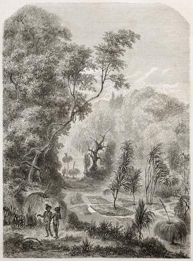 Thumbnail for original image