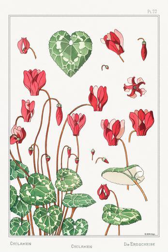 Thumbnail for original image