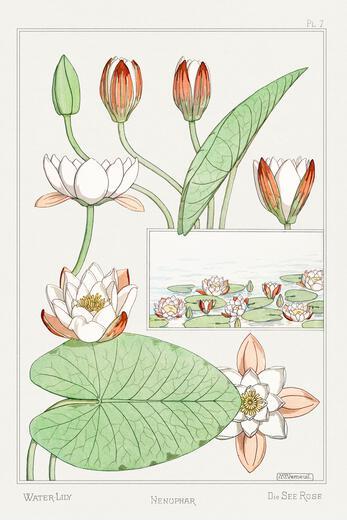 Thumbnail for original image