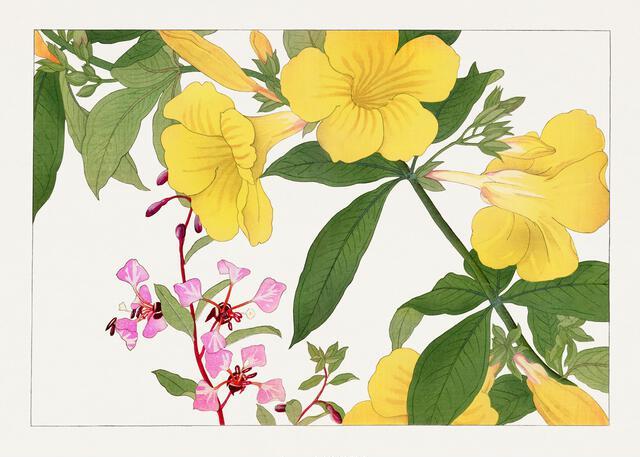 Thumbnail for original image