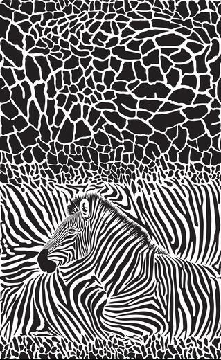 Thumbnail for original image