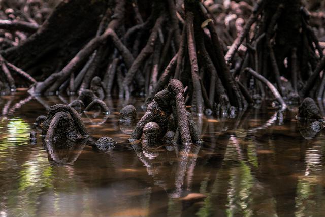 Thumbnail for original image