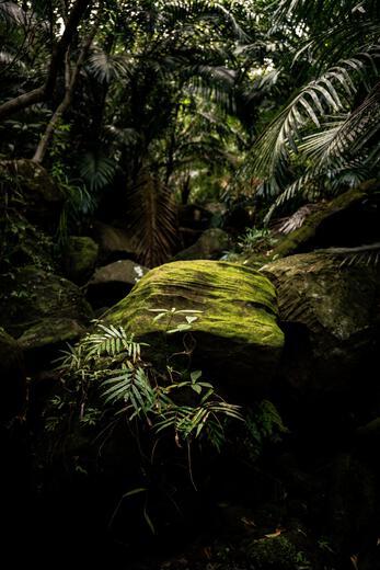 Thumbnail for original image