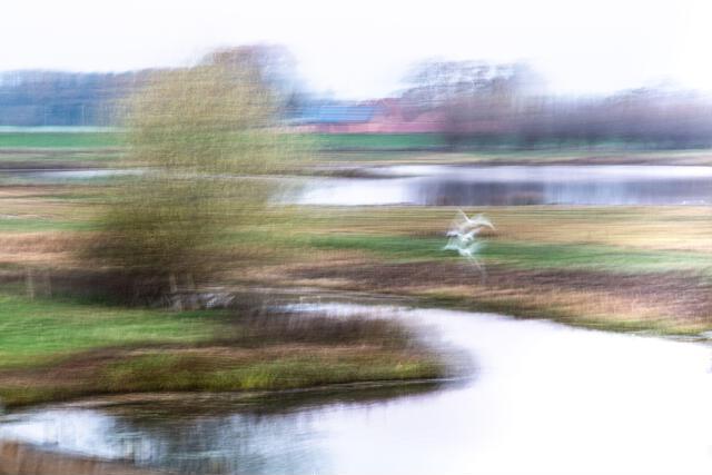 Thumbnail for original image