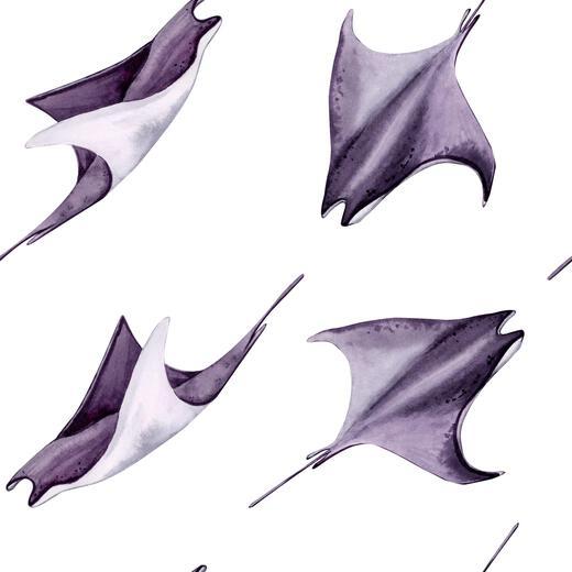 Thumbnail for original image