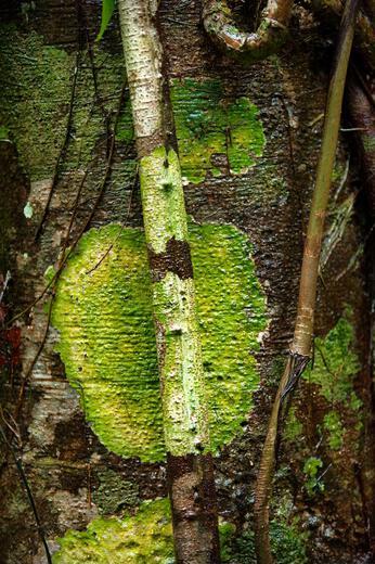 Thumbnail for original image