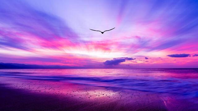 Thumbnail for original image