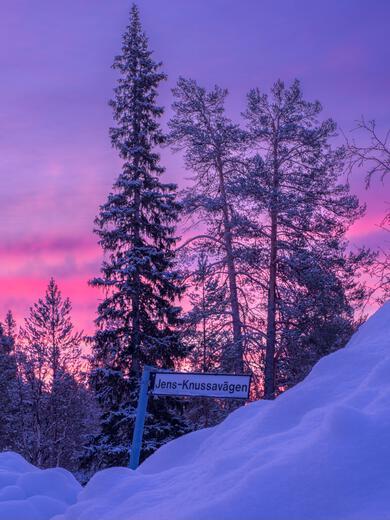 Thumbnail for original image