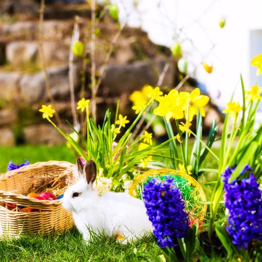 Thumbnail for original image