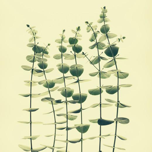 Thumbnail for original image