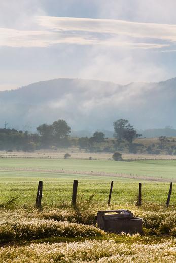 Thumbnail for original image