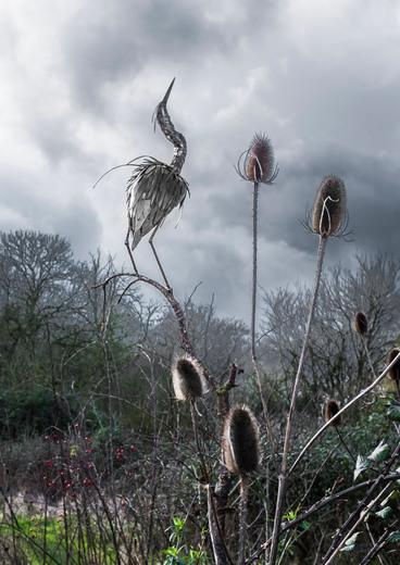 Thumbnail for original image