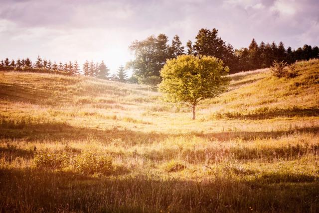 Thumbnail for original image