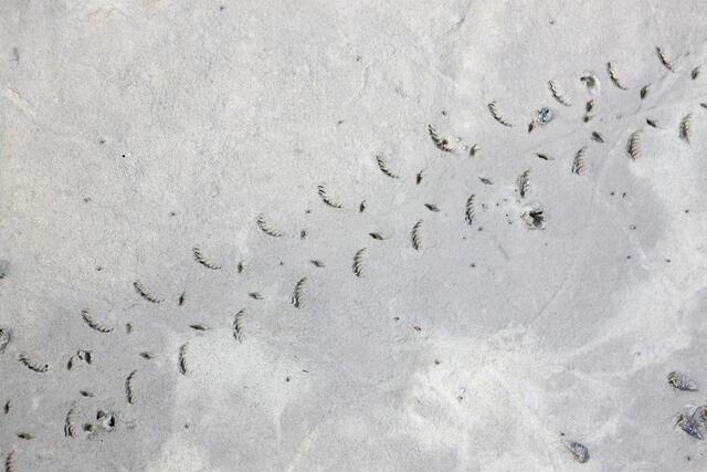 Thumbnail for original image