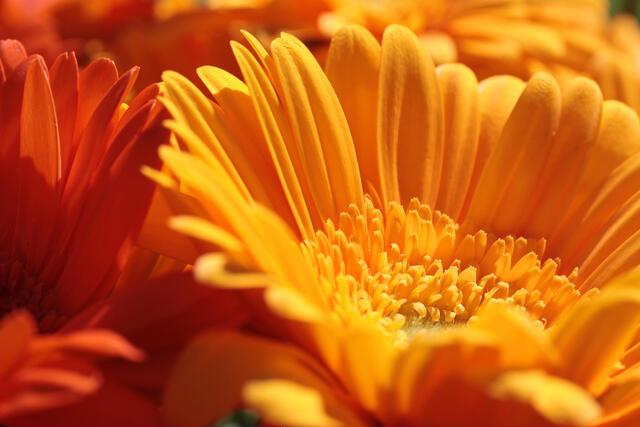 Thumbnail for original image