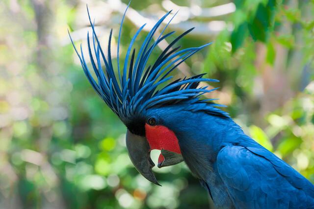 Thumbnail for original image