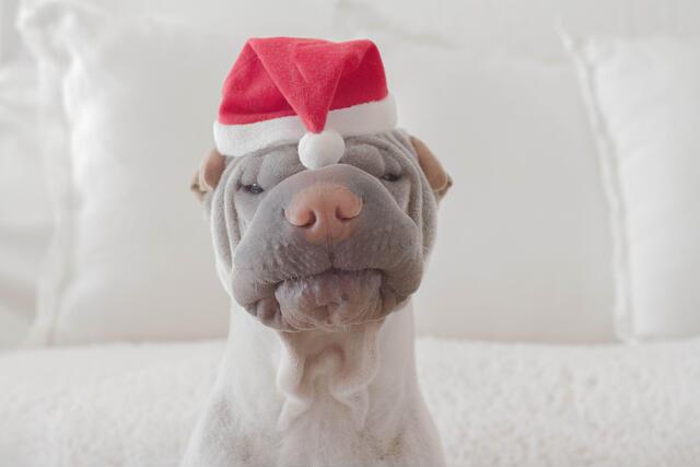 Thumbnail for original image