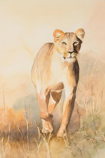 Thumbnail for original image