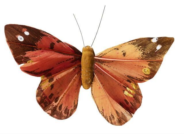 Thumbnail for original image