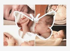 Modish Shape Collage - 9