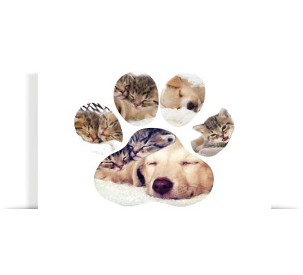 Photo Collages - Metal Silhouette at Canvas Factory