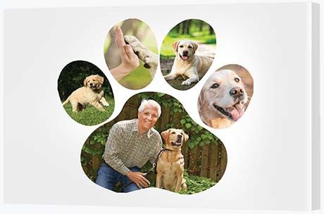 70th Birthday Gift Ideas - Paw Print