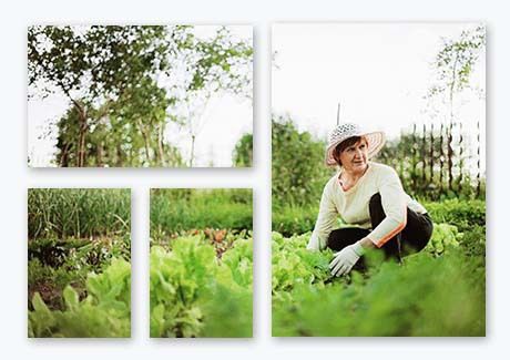 70th Birthday Gift Ideas - Split Image Canvas