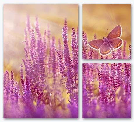 Gift Ideas For Women - Split Image Canvas