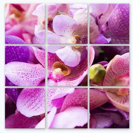 50th Birthday Presents - Split Image Canvas