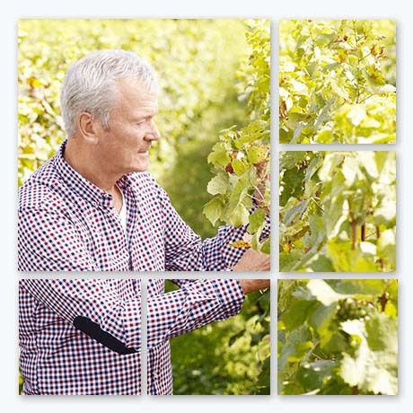 70th Birthday Gift Ideas - Metal Split Image