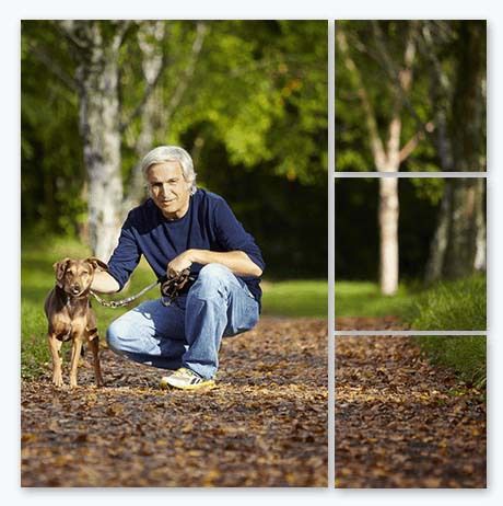 80th Birthday Gift Ideas - Split Image Canvas