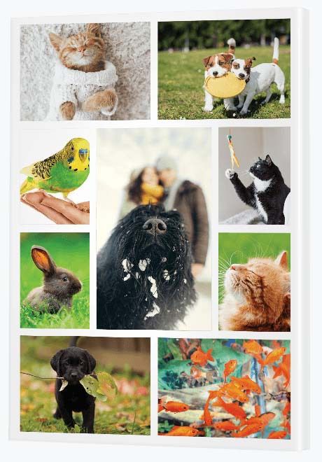 20th Wedding Anniversary Gifts - Collage