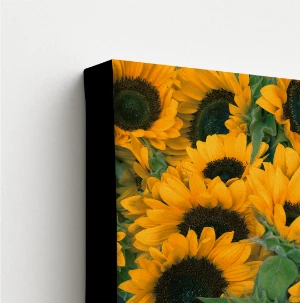 Coloured Canvas Wrap